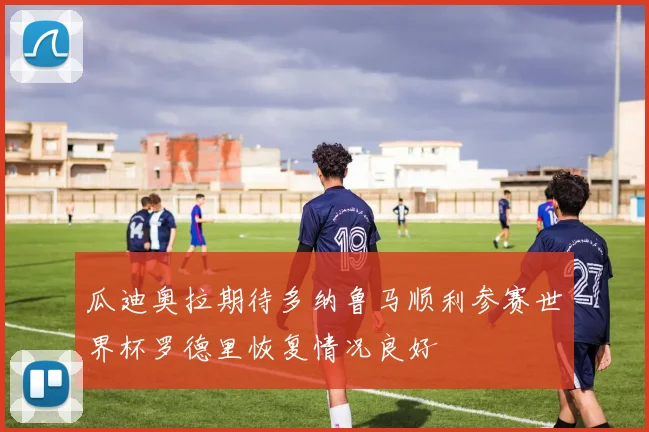 瓜迪奥拉期待多纳鲁马顺利参赛世界杯罗德里恢复情况良好