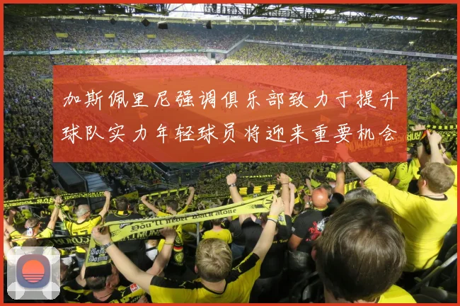 加斯佩里尼强调俱乐部致力于提升球队实力年轻球员将迎来重要机会